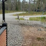 Louhi A Апартаменты