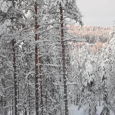 Louhi A Apartment Akaslompolo