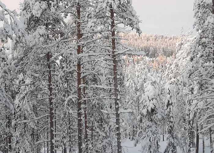 Louhi A Апартаменты Экясломполо