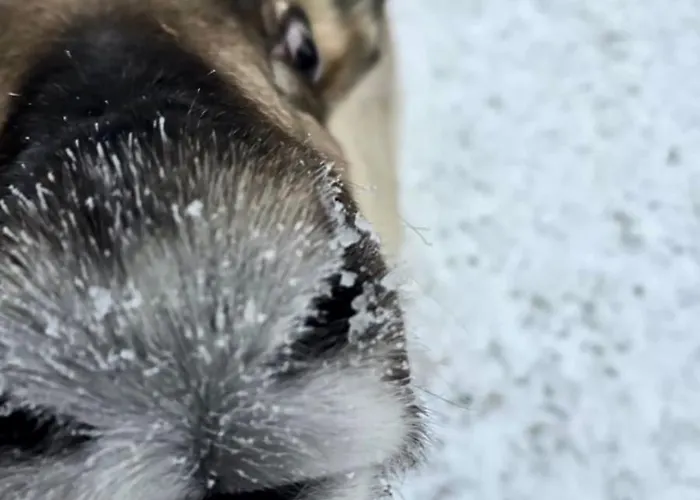 Louhi A Экясломполо